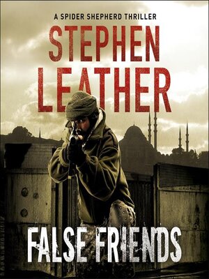 cover image of False Friends